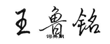 駱恆光王魯銘行書個性簽名怎么寫