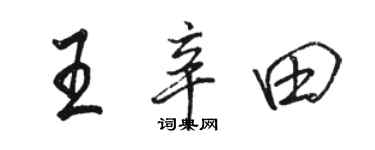 駱恆光王辛田行書個性簽名怎么寫