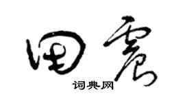 曾慶福田震草書個性簽名怎么寫