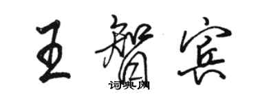 駱恆光王智賓行書個性簽名怎么寫