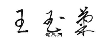 駱恆光王玉菊草書個性簽名怎么寫