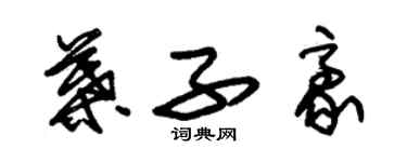 朱錫榮葉子豪草書個性簽名怎么寫