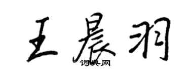 王正良王晨羽行書個性簽名怎么寫