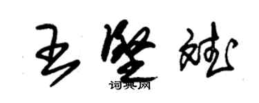 朱錫榮王堅斌草書個性簽名怎么寫