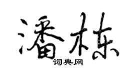 曾慶福潘棟行書個性簽名怎么寫