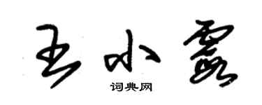 朱錫榮王小霞草書個性簽名怎么寫