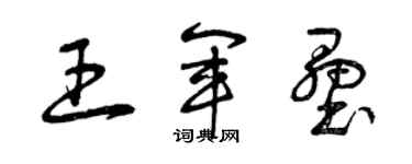 曾慶福王軍壘草書個性簽名怎么寫