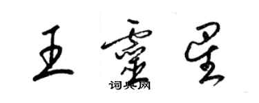 梁錦英王靈星草書個性簽名怎么寫