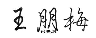 駱恆光王朋梅行書個性簽名怎么寫