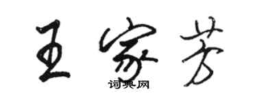 駱恆光王家芳行書個性簽名怎么寫