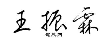 梁錦英王振霖草書個性簽名怎么寫