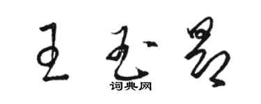 駱恆光王玉昂草書個性簽名怎么寫