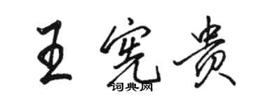 駱恆光王憲貴行書個性簽名怎么寫