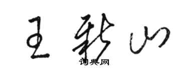 駱恆光王新山草書個性簽名怎么寫