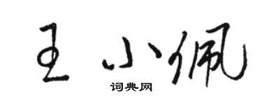 駱恆光王小佩草書個性簽名怎么寫