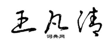 曾慶福王凡清草書個性簽名怎么寫