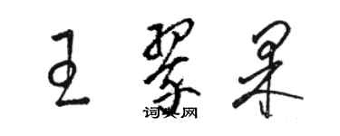 駱恆光王翠果草書個性簽名怎么寫