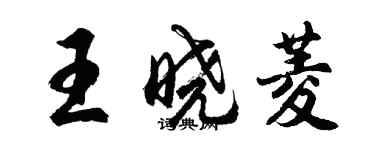 胡問遂王曉菱行書個性簽名怎么寫