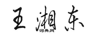 駱恆光王湘東行書個性簽名怎么寫