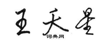 駱恆光王夭星行書個性簽名怎么寫