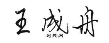 駱恆光王成舟行書個性簽名怎么寫