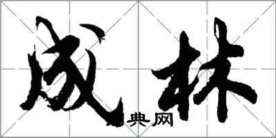 胡問遂成林行書怎么寫