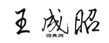 駱恆光王成昭行書個性簽名怎么寫