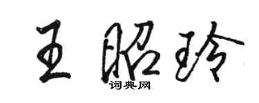 駱恆光王昭玲行書個性簽名怎么寫
