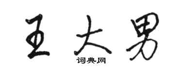 駱恆光王大男行書個性簽名怎么寫