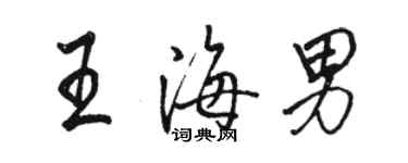 駱恆光王海男行書個性簽名怎么寫