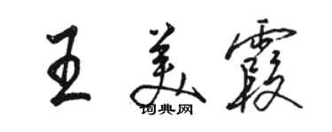 駱恆光王美霞行書個性簽名怎么寫