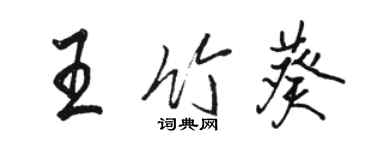 駱恆光王竹葵行書個性簽名怎么寫