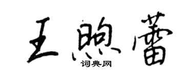 王正良王煦蕾行書個性簽名怎么寫