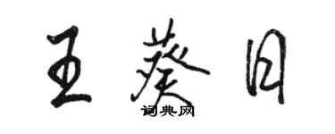 駱恆光王葵日行書個性簽名怎么寫