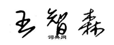 朱錫榮王智森草書個性簽名怎么寫