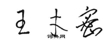 駱恆光王才密草書個性簽名怎么寫