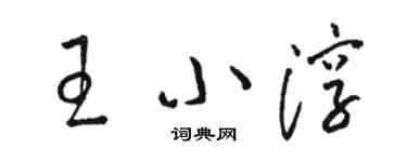 駱恆光王小淳草書個性簽名怎么寫