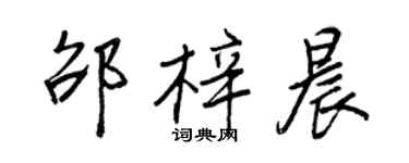 王正良邵梓晨行書個性簽名怎么寫