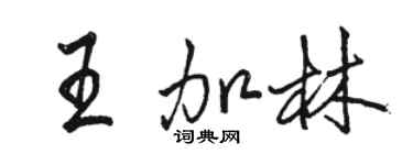 駱恆光王加林行書個性簽名怎么寫