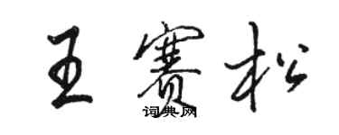 駱恆光王賽松行書個性簽名怎么寫