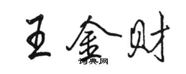駱恆光王金財行書個性簽名怎么寫