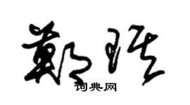 朱錫榮鄭琪草書個性簽名怎么寫