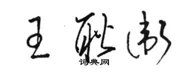 駱恆光王耿衛草書個性簽名怎么寫