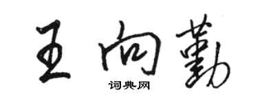 駱恆光王向勤行書個性簽名怎么寫