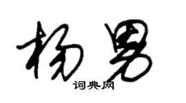 朱錫榮楊男草書個性簽名怎么寫