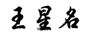 胡問遂王星名行書個性簽名怎么寫