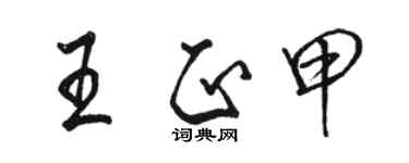 駱恆光王正甲行書個性簽名怎么寫
