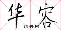 華采的意思_華采的解釋_國語詞典