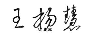 駱恆光王楊慧草書個性簽名怎么寫