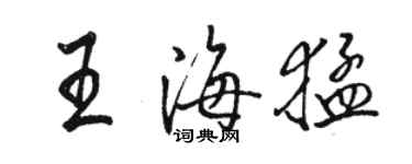 駱恆光王海猛行書個性簽名怎么寫